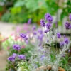 Thumbnail of new posts 099