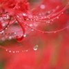 Thumbnail of new posts 057