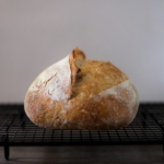 50025062401_051b397b77