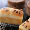 にゃんこ祭り「マーブルにゃんこパン」と「にゃんこミニ食パン」 | わかば工房 Photo 